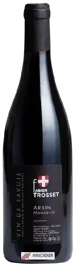 Domaine Fabien Trosset - Arbin Mondeuse Savoie