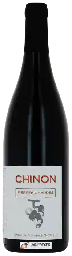 Domaine Fabrice Gasnier - Pierres Chaudes Chinon
