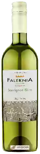 Domaine Falernia - Reserva Sauvignon Blanc