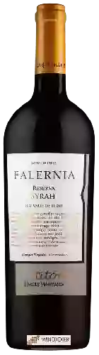 Domaine Falernia - Titón Single Vineyard Reserva Syrah