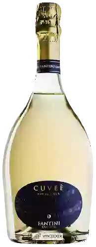 Weingut Farnese - Fantini Cuvée Cococciola