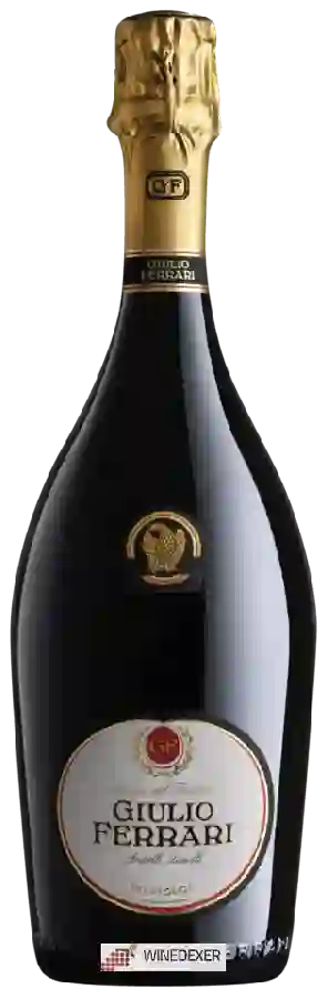 Domaine Ferrari - 'Giulio Ferrari' Riserva del Fondatore Domaine Ferrari - 'Giulio Ferrari' Riserva del Fondatore