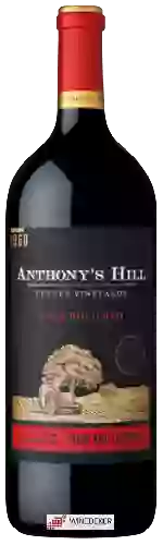 Domaine Fetzer - Anthony's Hill Dark Bold Red