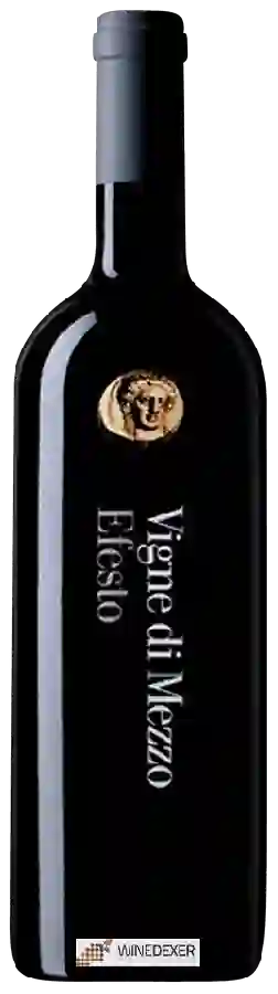 Domaine Feudi di San Gregorio - Vigne di Mezzo Efesto Domaine Feudi di San Gregorio - Vigne di Mezzo Efesto