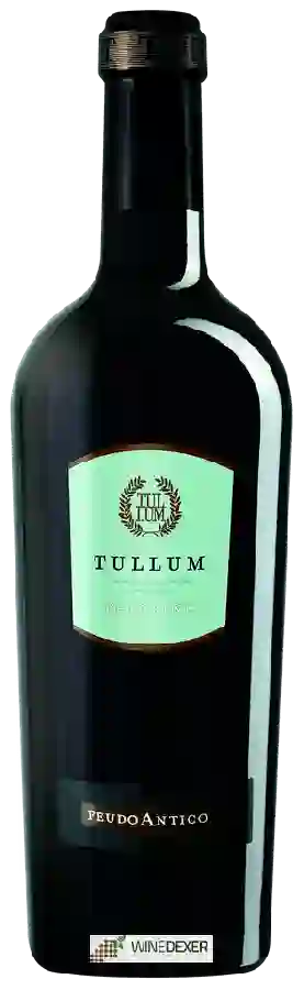 Domaine Feudo Antico - Tullum Pecorino Domaine Feudo Antico - Tullum Pecorino