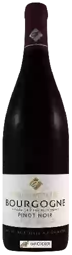 Domaine Fichet - Bourgogne Pinot Noir