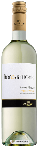 Weingut Fiore di Monte - Pinot Grigio Weingut Fiore di Monte - Pinot Grigio