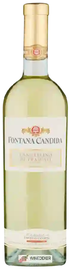 Domaine Fontana Candida - Frascati Cannellino