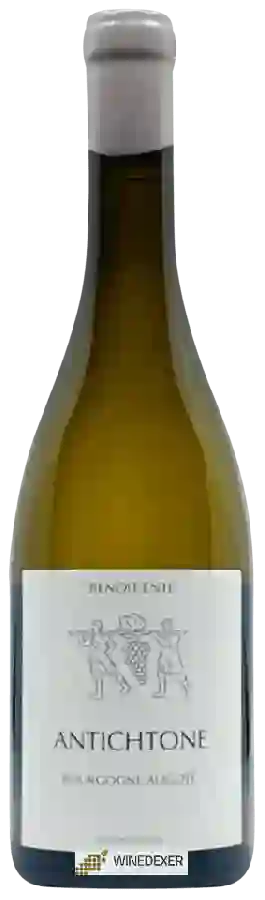 Domaine Benoît Ente - Bourgogne Aligoté Domaine Benoît Ente - Bourgogne Aligoté