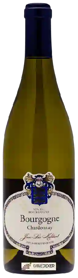 Domaine Jean-Luc Maldant - Bourgogne Chardonnay Domaine Jean-Luc Maldant - Bourgogne Chardonnay