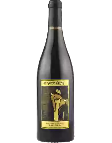 Winery Mas Coutelou - Syrah