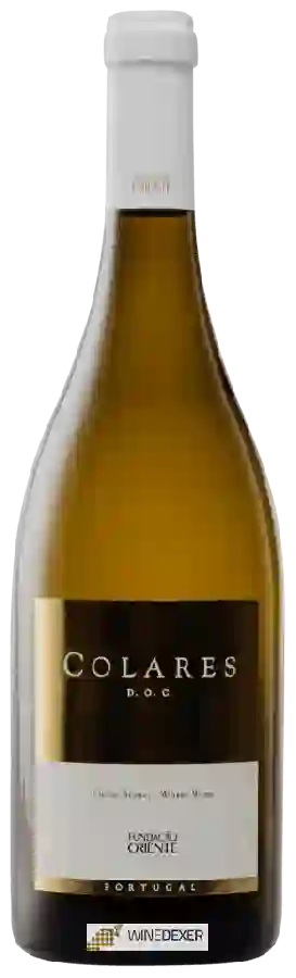 Domaine Fundação Oriente - Branco Domaine Fundação Oriente - Branco