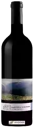 Galil Mountain Winery (יקב הרי גליל) - Cabernet Sauvignon