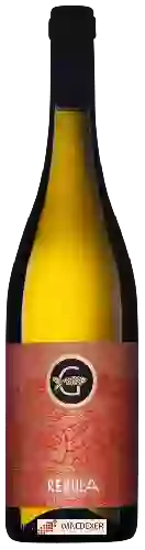 Domaine Gasper Wines - Rebula
