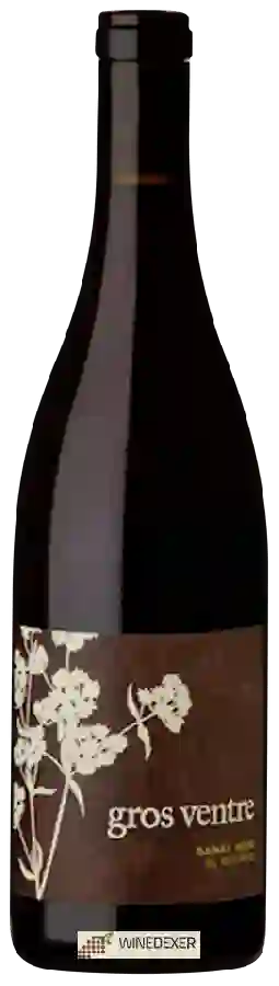 Domaine Gros Ventre - Gamay Noir