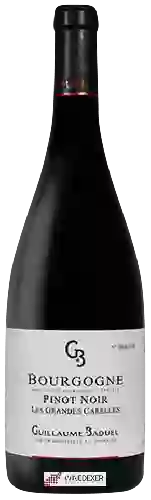 Domaine Guillaume Baduel