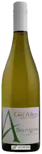 Domaine Guy Allion - A Sauvignon