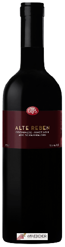 Domaine GVS Schachenmann - Alte Reben Eisenhalde Pinot Noir