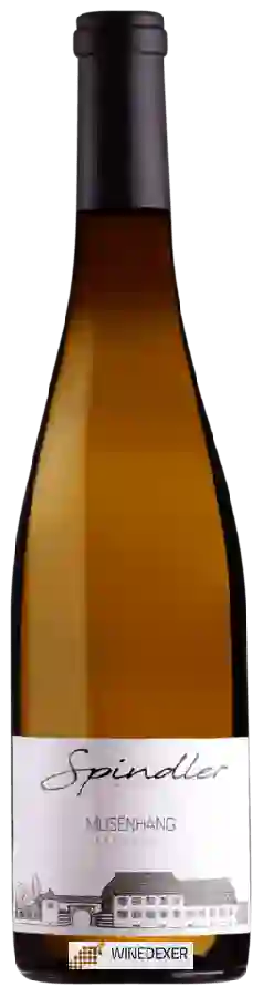 Domaine Heinrich Spindler - Musenhang Riesling