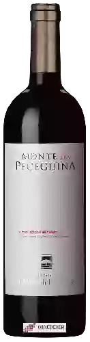 Domaine Malhadinha Nova - Alentejano Monte da Peceguina Tinto