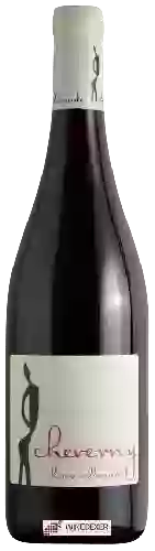 Domaine Hervé Villemade - Cheverny Rouge