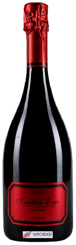Domaine Hispano Suizas - Cava Tantum Ergo Pinot Noir Brut Nature