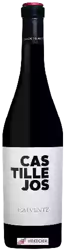 Domaine Horacio Calvente - Castillejos