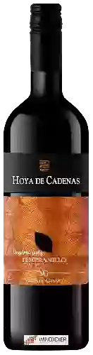 Domaine Hoya de Cadenas - Organic Tempranillo