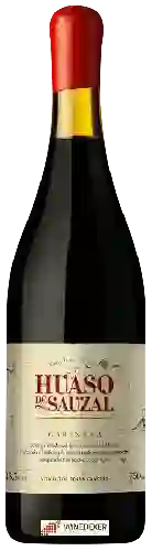 Domaine Huaso de Sauzal