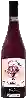 Domaine I Stefanini - Valpolicella Ripasso Classico Superiore