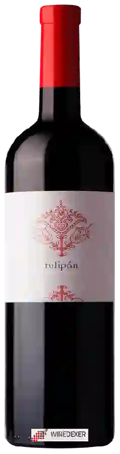 Domaine Ikon - Tulipán