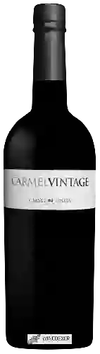 Domaine Carmel (יקבי כרמל) - Carmel Vintage Port