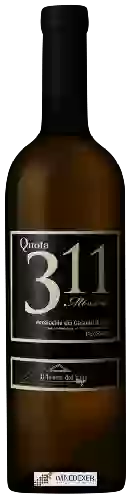 Domaine Il Teatro del Vino - Quota 311 Verdicchio dei Castelli di Jesi Classico