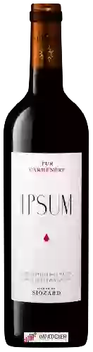 Domaine Ipsum - Pure Carmén&egravere