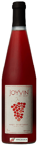 Weingut Rashi - Joyvin Rouge
