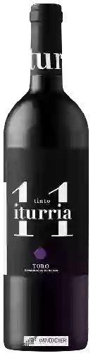 Domaine Iturria - Tinto Iturria