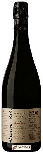Winery Jacques Selosse - Lieux-dits La Cote Faron Extra Brut Champagne Grand Cru 'Aÿ'
