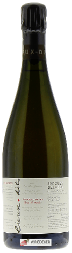 Weingut Jacques Selosse - Lieux-dits Mareuil Sur Ay Sous le Mont Extra Brut Champagne Premier Cru