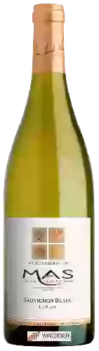 Weingut Jean Claude Mas - La Plaine Sauvignon Blanc