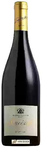 Domaine Joseph Mellot - Sincérité Pinot Noir