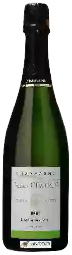 Domaine Julien Chopin - Carte Verte Brut Champagne