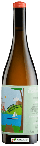 Weingut Alexander Koppitsch - Gemischter Satz Maischevergoren Weingut Alexander Koppitsch - Gemischter Satz Maischevergoren