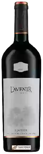 Domaine L'Avenir - Provenance Pinotage