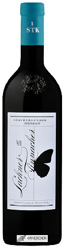 Winery Lackner Tinnacher - Grauburgunder Ried Steinbach Winery Lackner Tinnacher - Grauburgunder Ried Steinbach