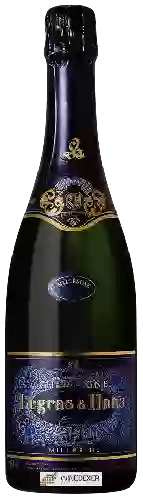 Domaine Legras & Haas - Blanc de Blancs Millésimé Brut Champagne Grand Cru 'Chouilly'