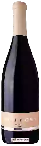 Domaine Leo Hillinger - Terroir Pinot Blanc