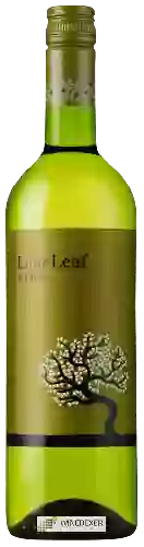 Domaine Lime Leaf