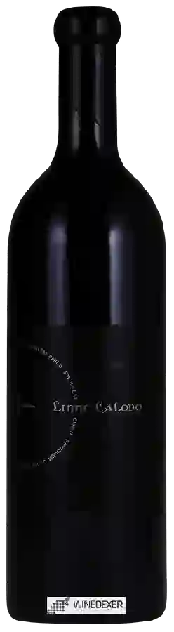 Domaine Linne Calodo - Problem Child