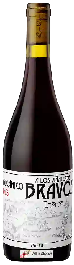 Domaine A Los Viñateros Bravos - Volc&aacutenico