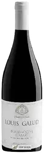 Domaine Louis Galud - Bourgogne Gamay